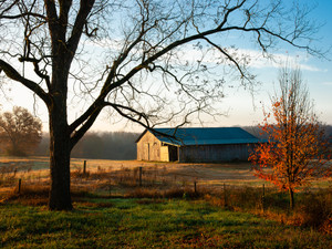 Fall Barn