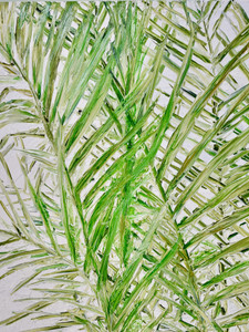 Palmera