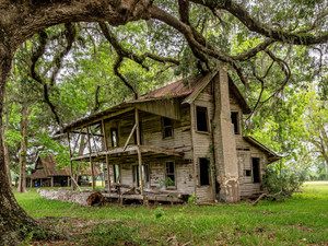 abandoned beauty