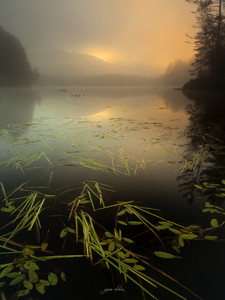Hammond Pond​​