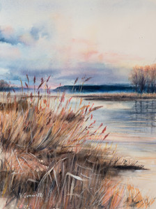 Early spring on the river. Reeds. Dawn. Landscape.