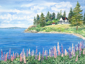 Lupine on Cape Rosier