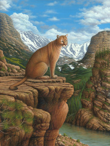 Cougar