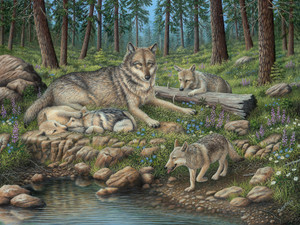 Grey Wolf Mother and Pups