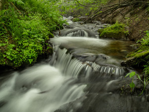 Basin Creek​