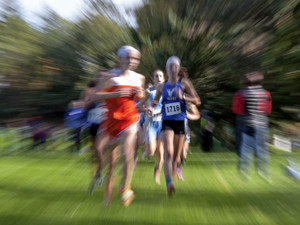 Cross Country 3978