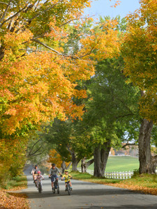 BCHN-Vermont in Autumn