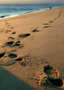 BCHN-Nauset Beach Footsteps