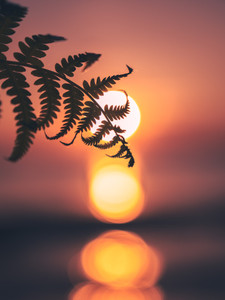 Soft Summer