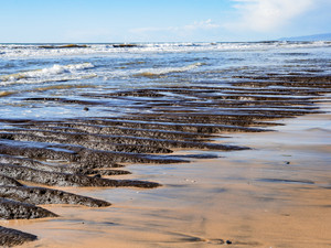 Exposed Reef