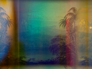 Prismatic Palms I