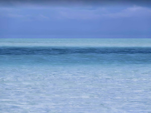 The Blues​​​​