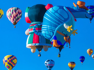 Critters in the Sky