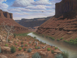 Along the Colorado