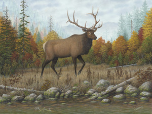 Autumn Elk