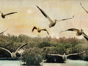 Flying​​​​​