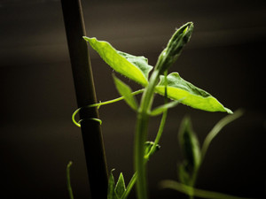 Holding On​​​​