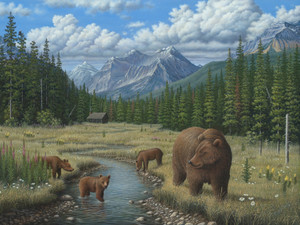 Checking Things Out - Grizzlies