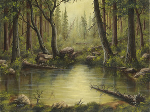 Evening at the Creek