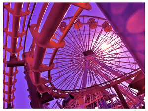 Ferris Wheel Roller Santa Monica Pier Purple