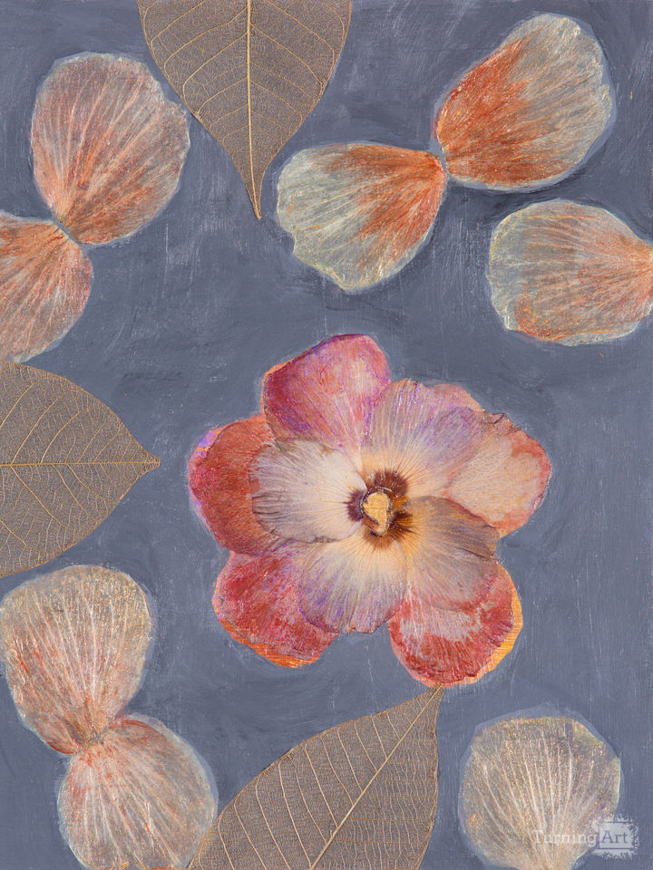 Valerie  Doran Bashaw