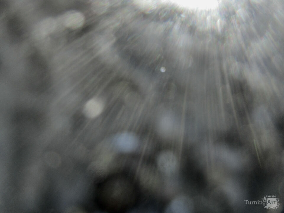 Alexander Jewish Family Service