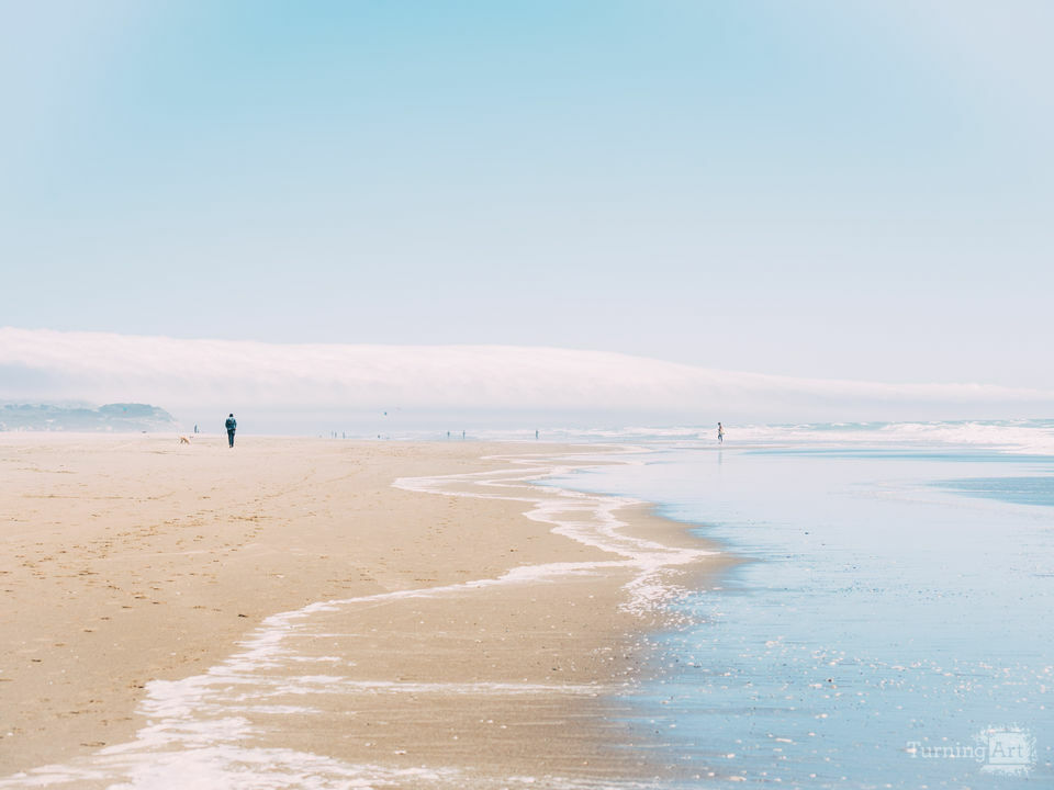 Patrycja Polechonska