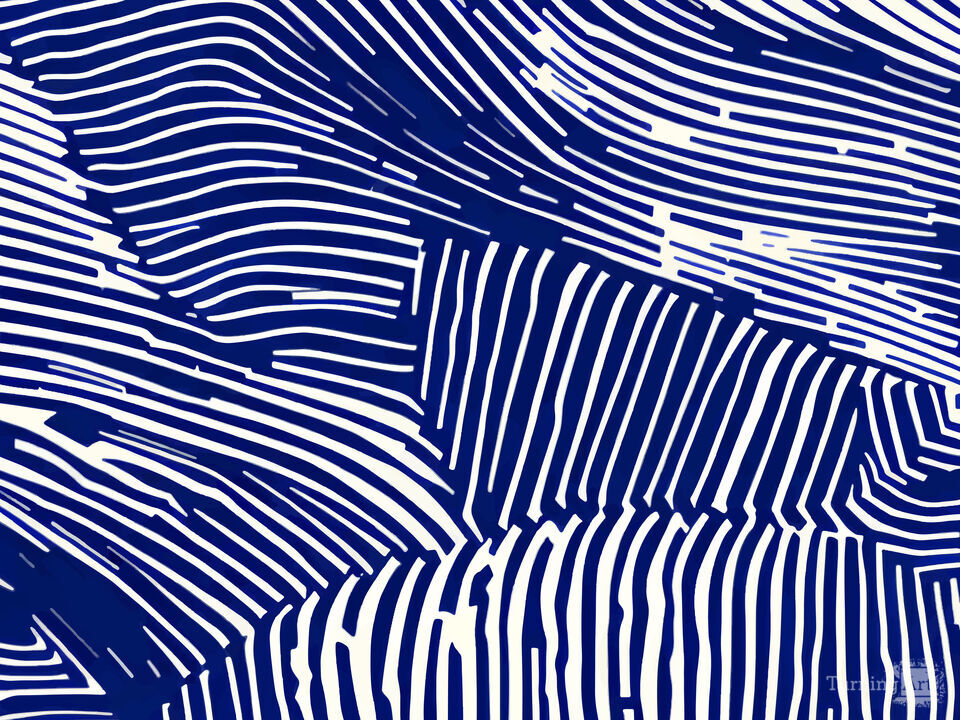 Gallery Color Studio