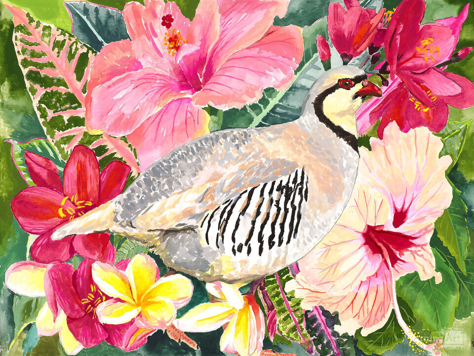 Mandy  Penney Valdez