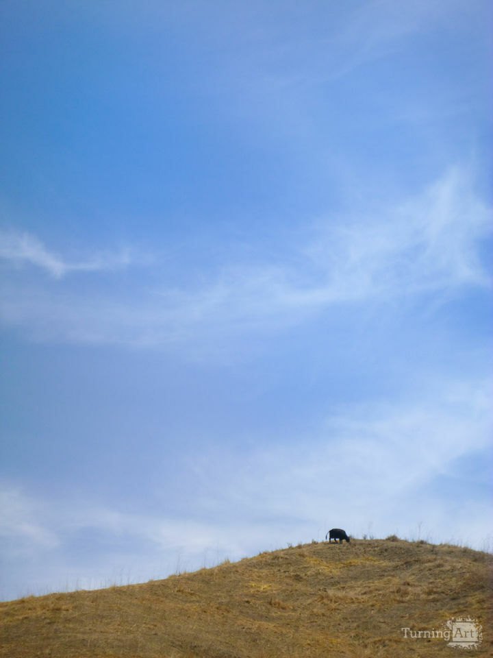 Christina Angarola Hsu