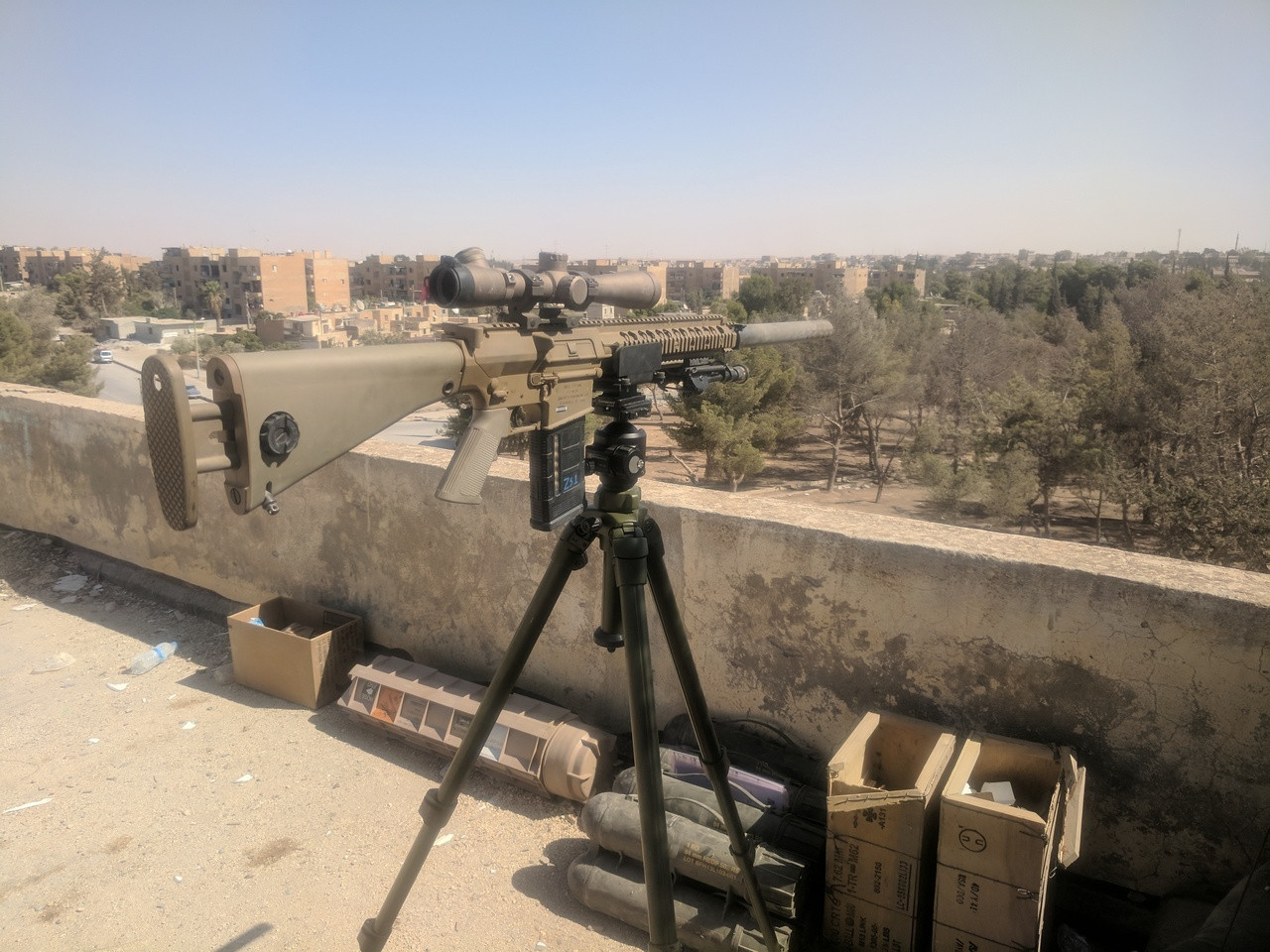 PIG0311-G-tripod1_13__14701.
