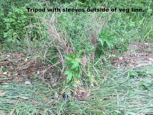 Tripod Concealment Sleeves deployment 2 Tripod Concealment Sleeves deployment 2