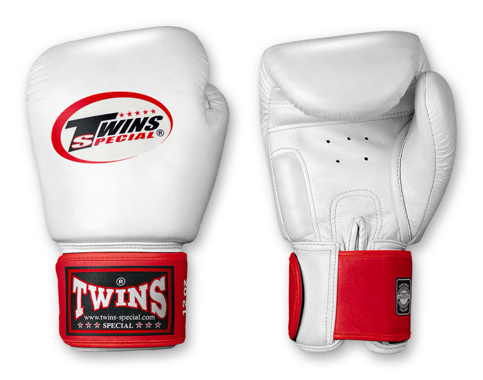 TWINS Boxing Gloves- Dual Color- 2025 Special Edition- Bold Colors
