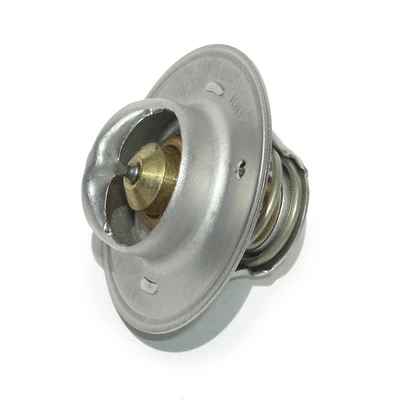 Hi-Flow Thermostat - MEZWN0070160