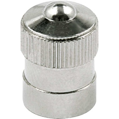 Valve Stem Cap 100pk ALL99151-100