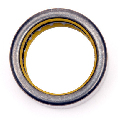 CENTERFORCE Roller Pilot Bearing 94-06 Dodge Truck/SUV/Vn CTF41002