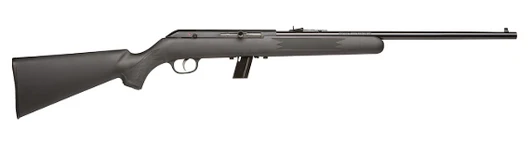 SAVAGE MODEL 64 22LR RIFLE SEMI-AUTO 10 ROUNDS 1 MAGAZINE - ORIGINAL BOX - PREOWNED