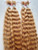 2 Pack Deal-22 Inch Human Hair blend wet and wavy Honey Blonde Super Bulk