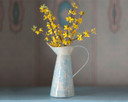 Forsythia in a French Pitcher