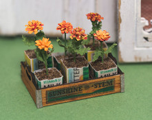 Crate of Marigolds Kit