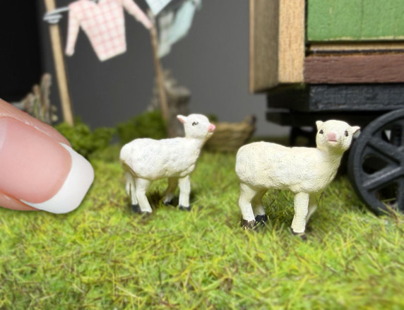 Set of two 1:48 quarter scale miniature lambs for dollhouse farm and garden scenes, unpainted detailed resin figures.