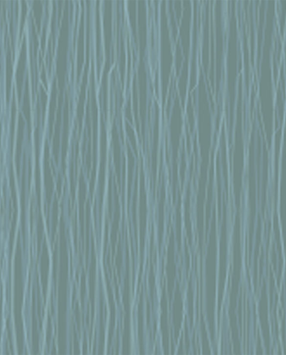 Pots, pans, utensils, food...