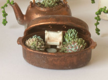 Sample - Fairy Garden in a Copper Roasting Pan - CLOSEOUT