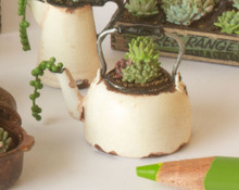 Sample - Succulents in a White Tea Kettle - CLOSEOUT