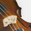STENTOR STUDENT 2 1/4 VIOLIN