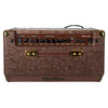 Martinez Retro-Style 25 Watt Acoustic Guitar Amplifier with Reverb (Paisley Brown)