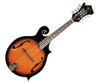 INDIANA MANDOLIN F-STYLE IFM-100