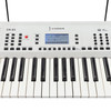 Crown CK-63 Multi-Function 61-Key Electronic Portable Keyboard with USB (White)