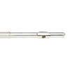Steinhoff Advanced Student C Flute (Silver)