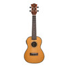 Tiki '22 Series' Spruce Solid Top Electric Concert Ukulele with Hard Case (Natural Gloss)